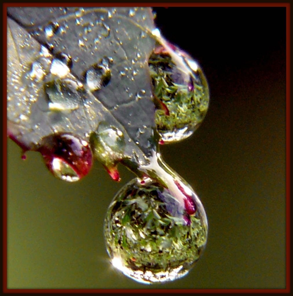 Макросъемка воды