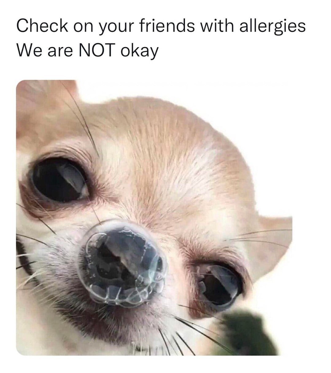 Смешной ветеринар