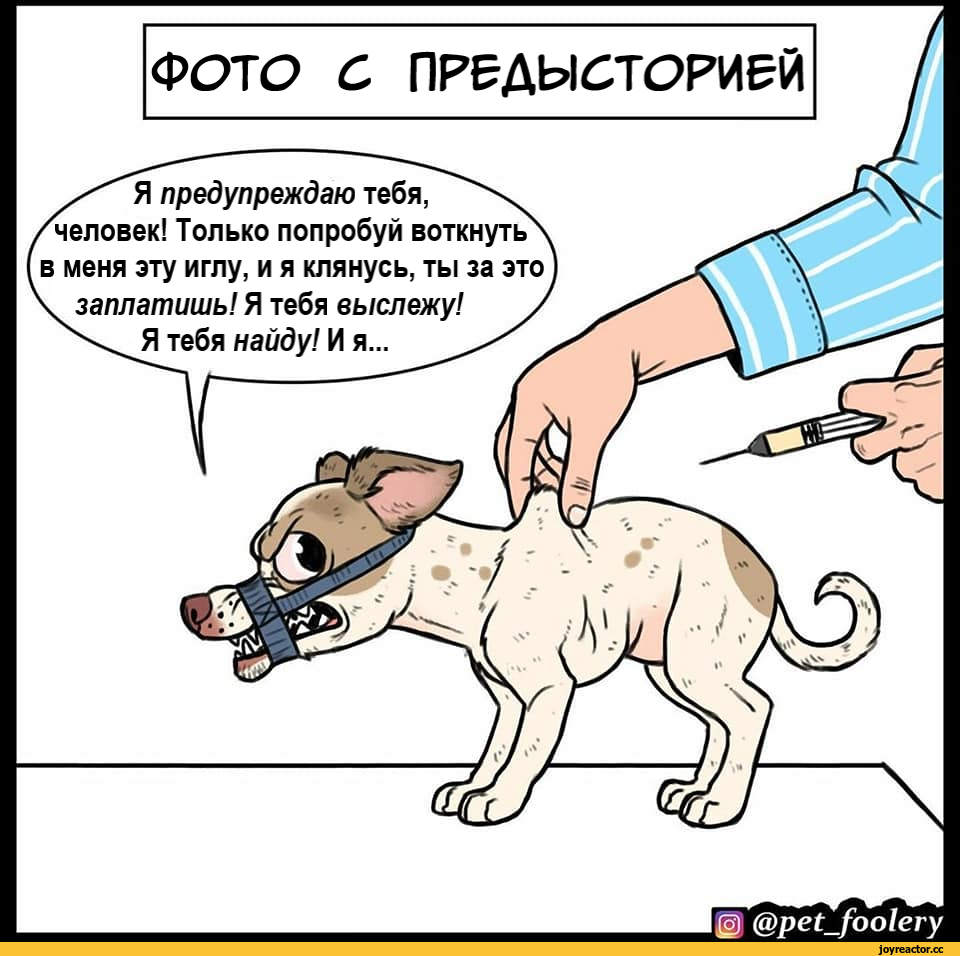 Чихуахуа белая злая