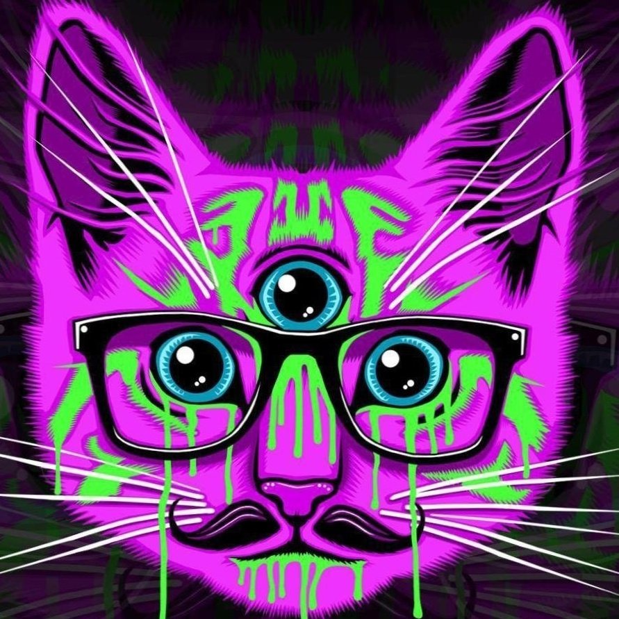 Кислотный кот