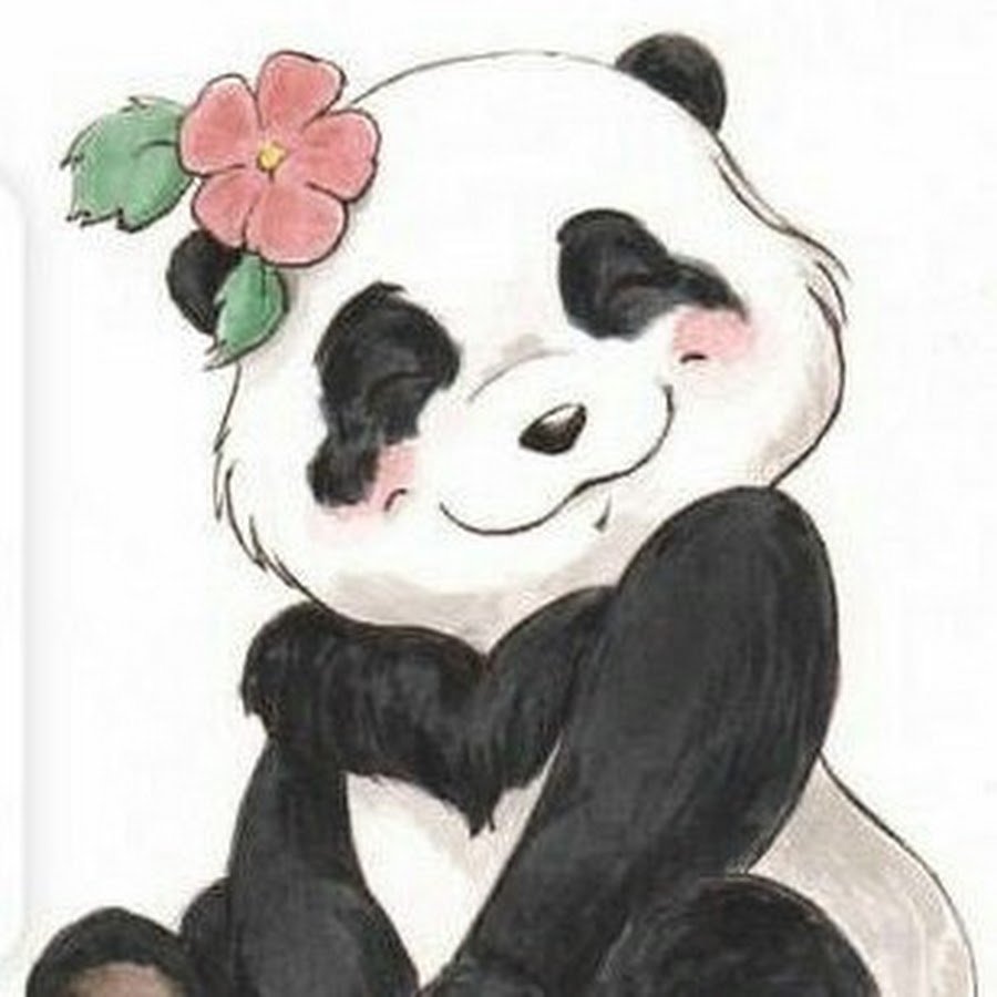 Панда рисунок для срисовки