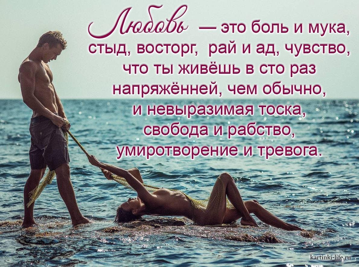 Высказывания о чувствах