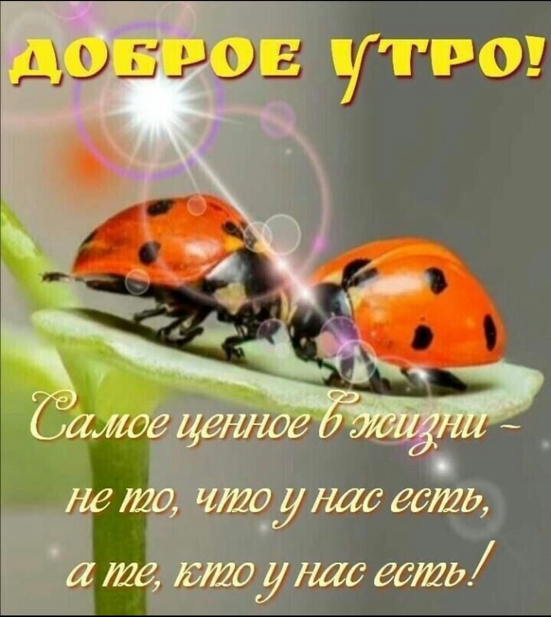 Здоровья бодрости и хорошего настроения