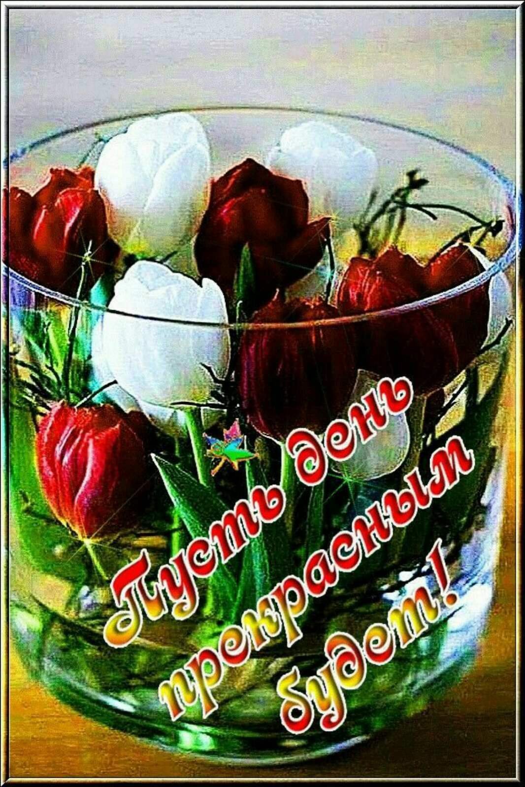 С добрым утром ноября