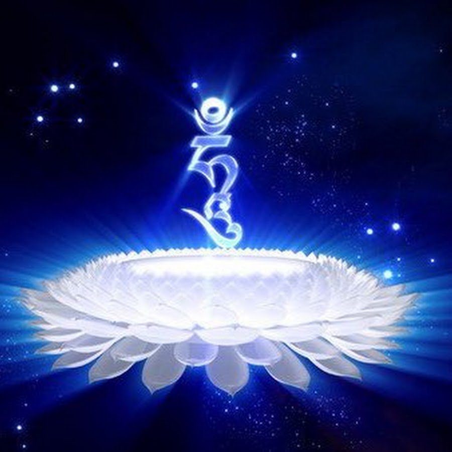 Рыбка в бокале