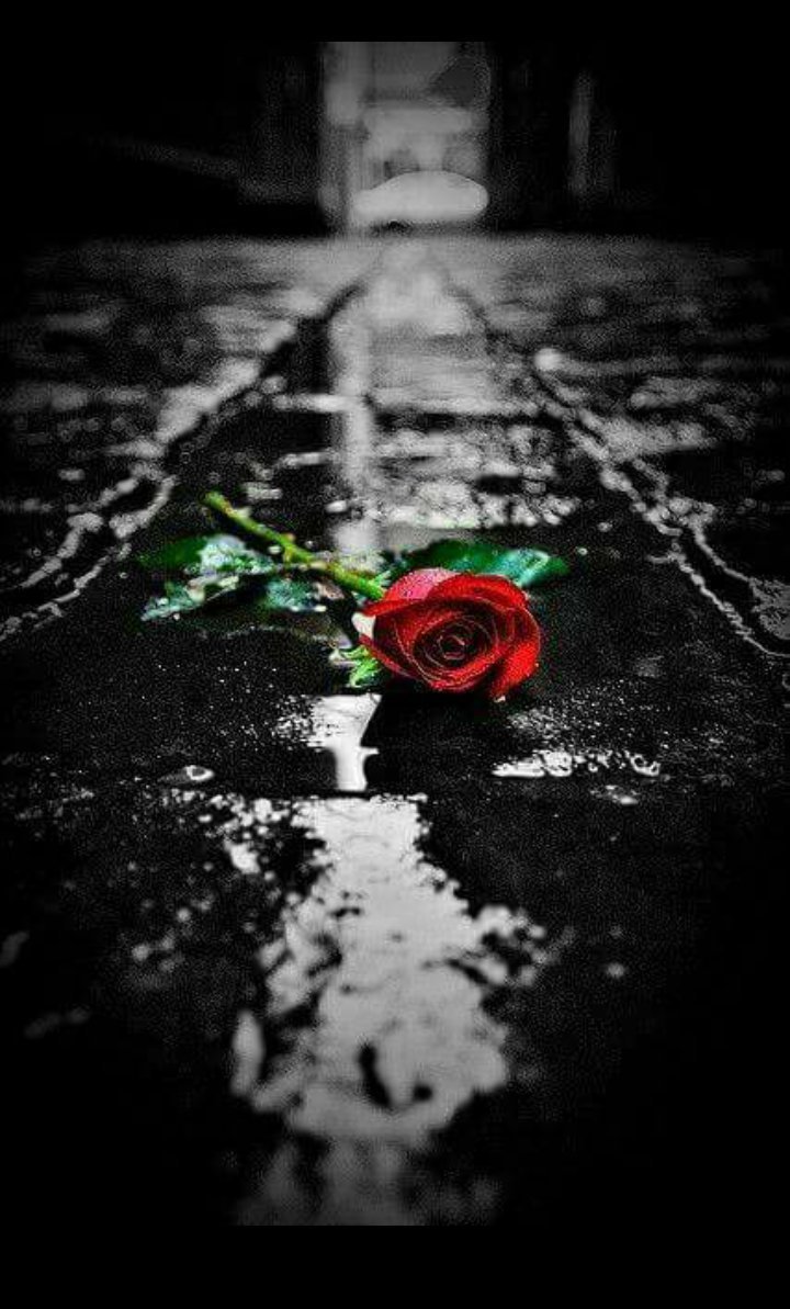 Грустный цветок