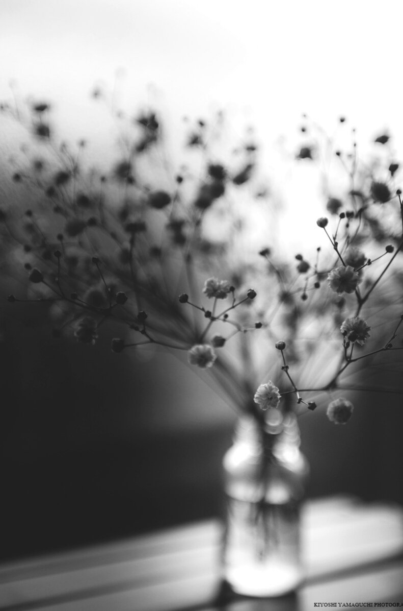 Красивый черный цвет