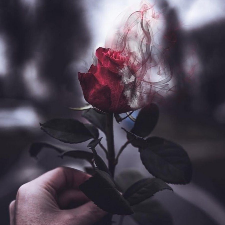 Дорога усыпанная цветами