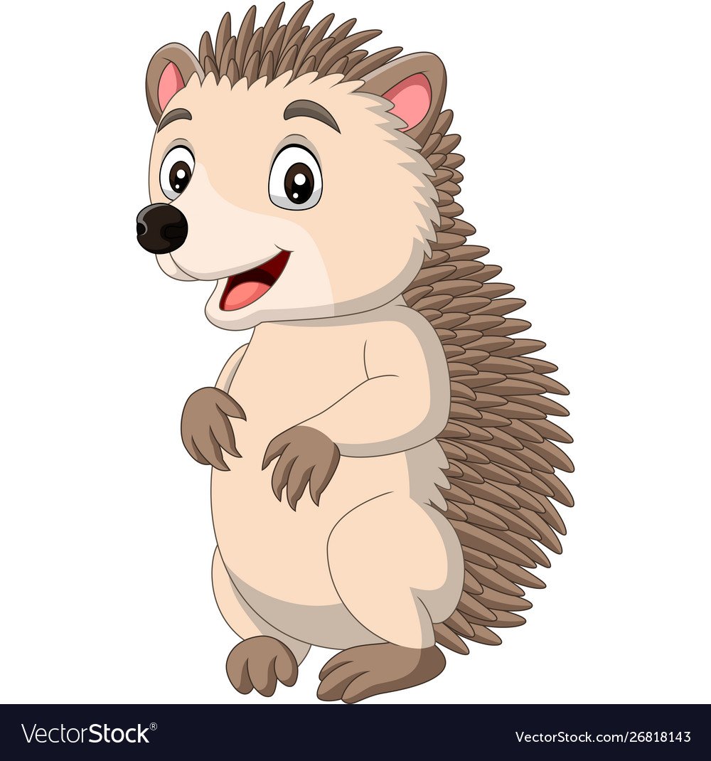 Еж мультяшный на белом фоне