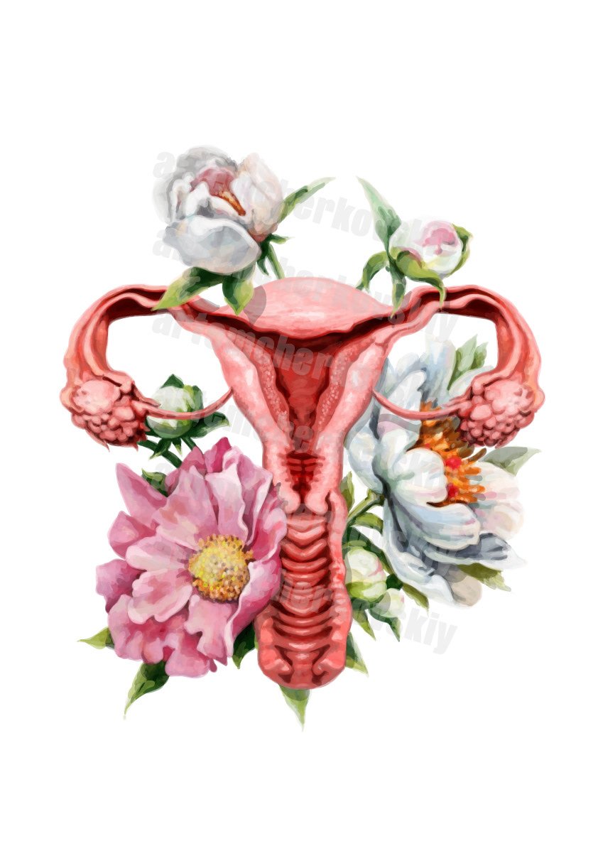 Анатомия человека в цветах