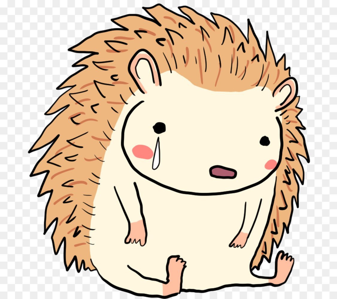 Ежик для вырезания цветной