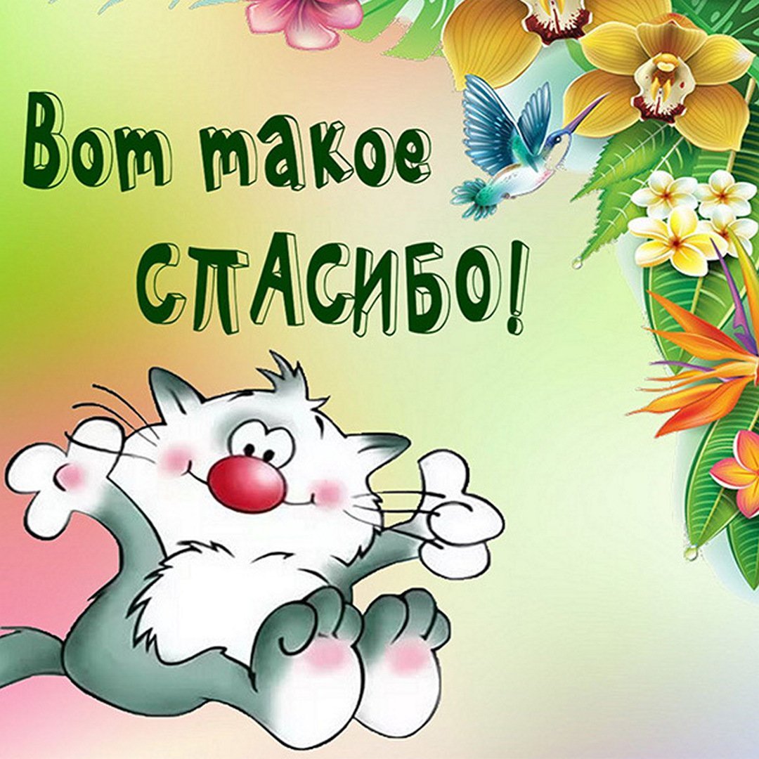 Открытки с благодарностью спасибо