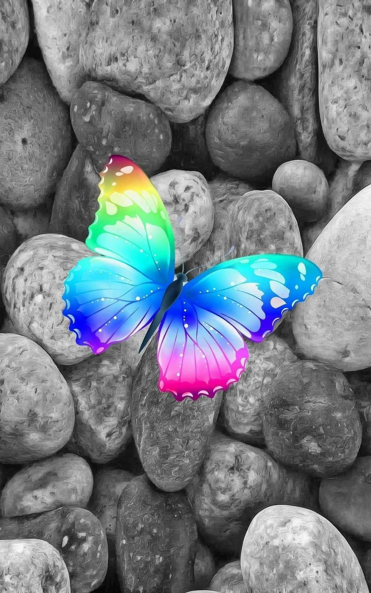 Радужная бабочка