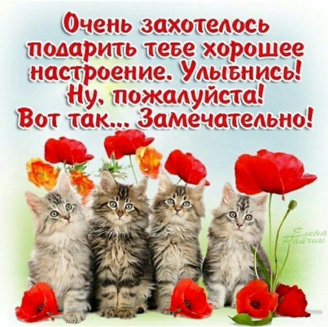 Картинки улыбнись жизни