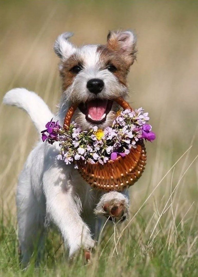 Всем здоровья и добра прикольные