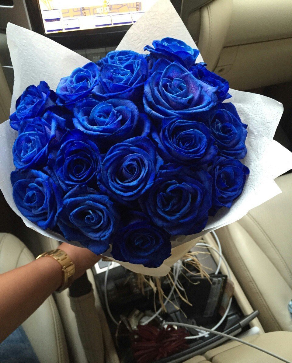 Синяя роза