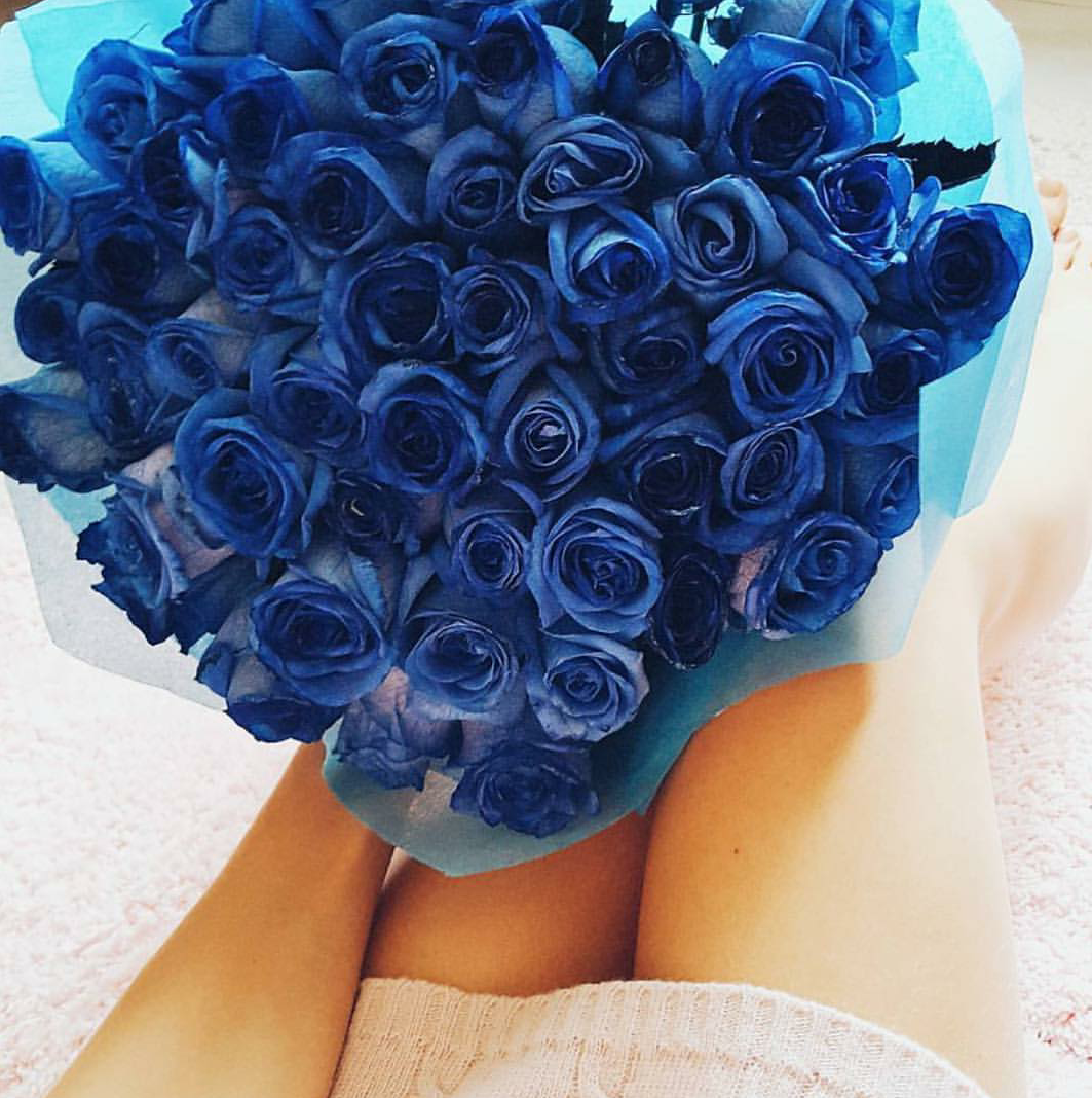 Эквадорские синие розы
