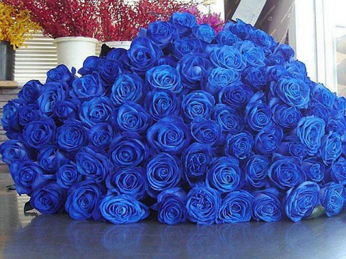 Девушка с голубыми розами