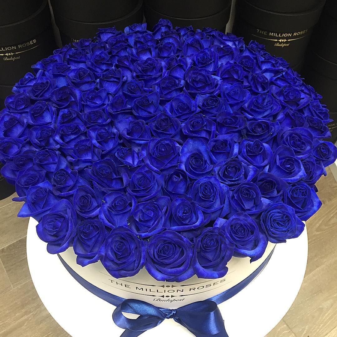 Брюнетка с синими розами