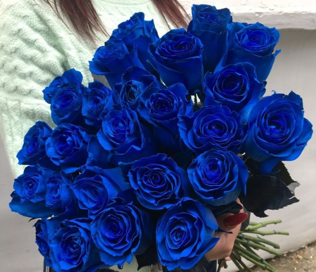 Цветы розы синие букеты
