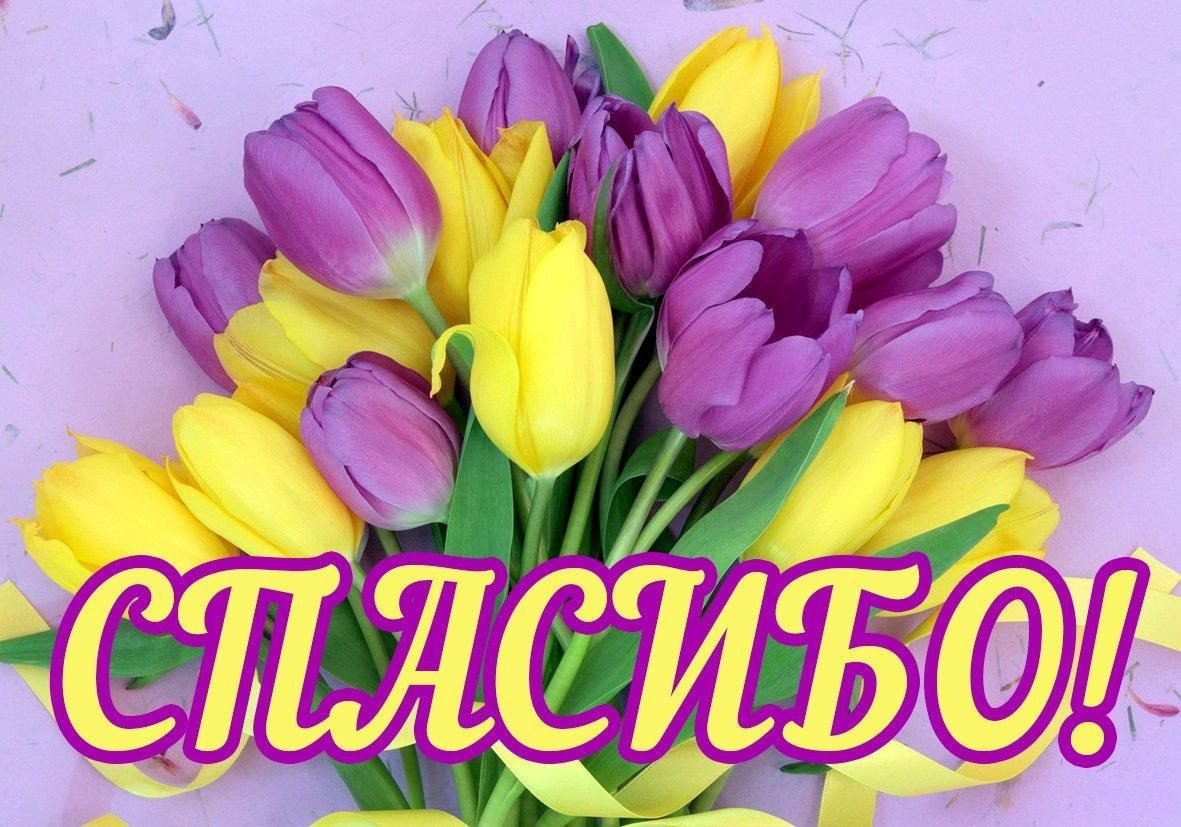 Спасибо картинки