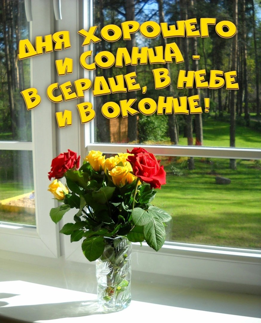 Летнее утро