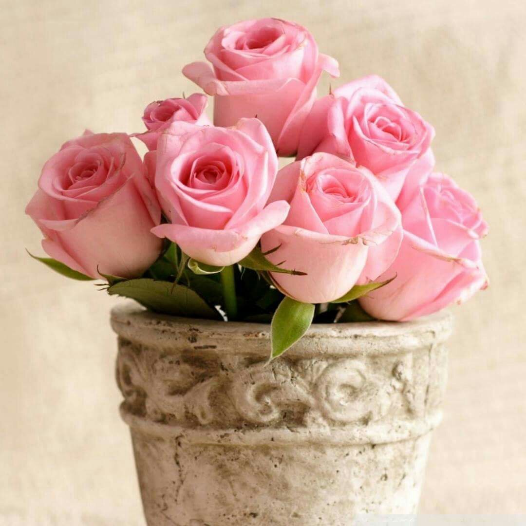 С днём рождения тётя