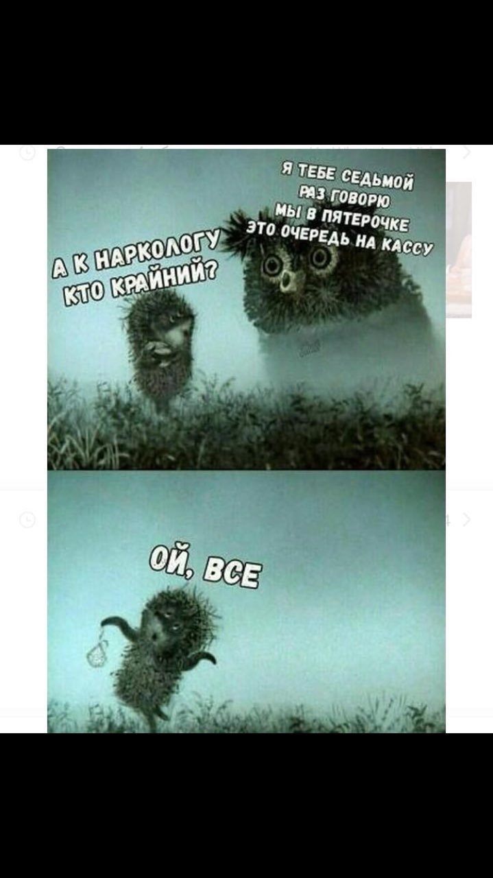 Ёжик в тумане прикольные