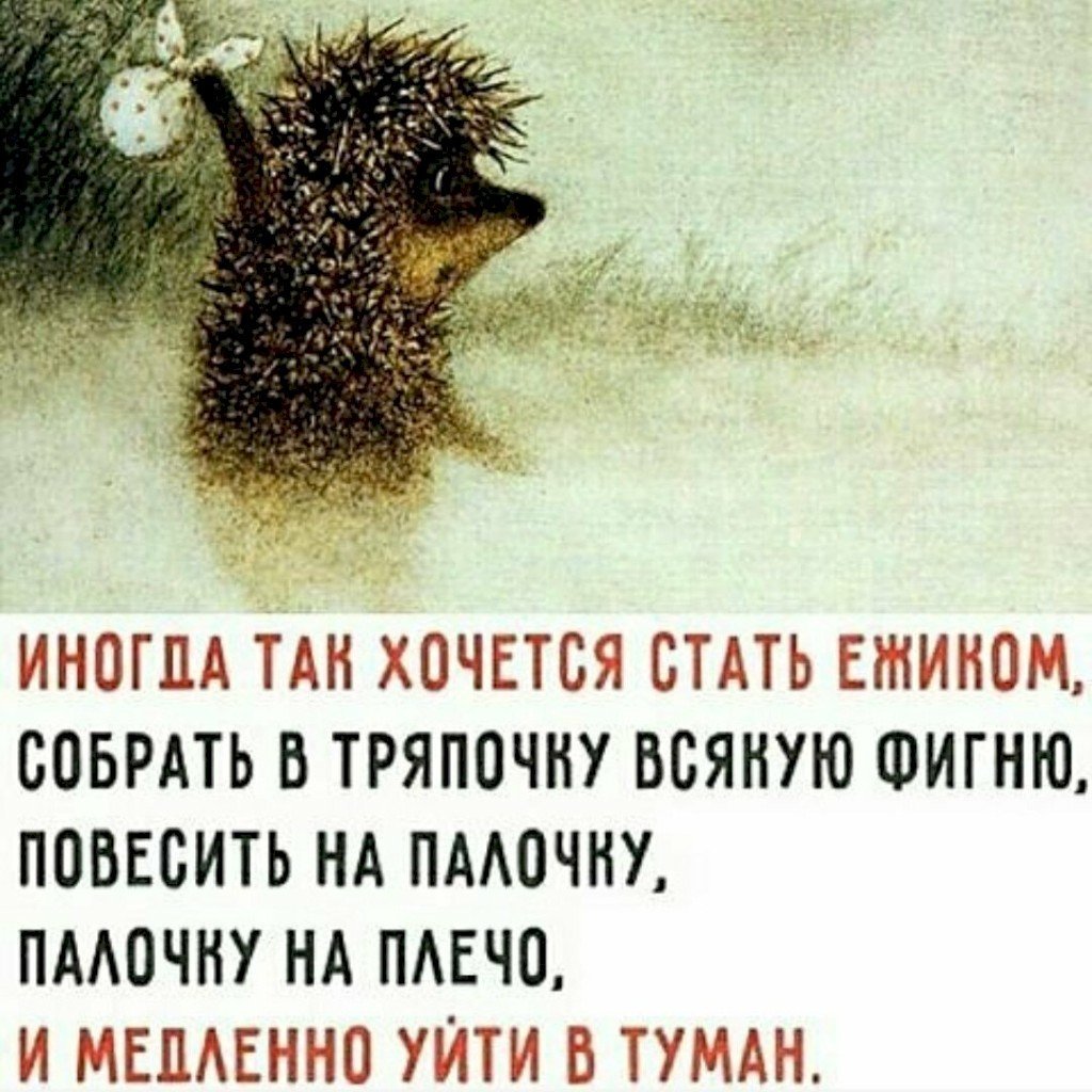 Цитаты из ежика в тумане