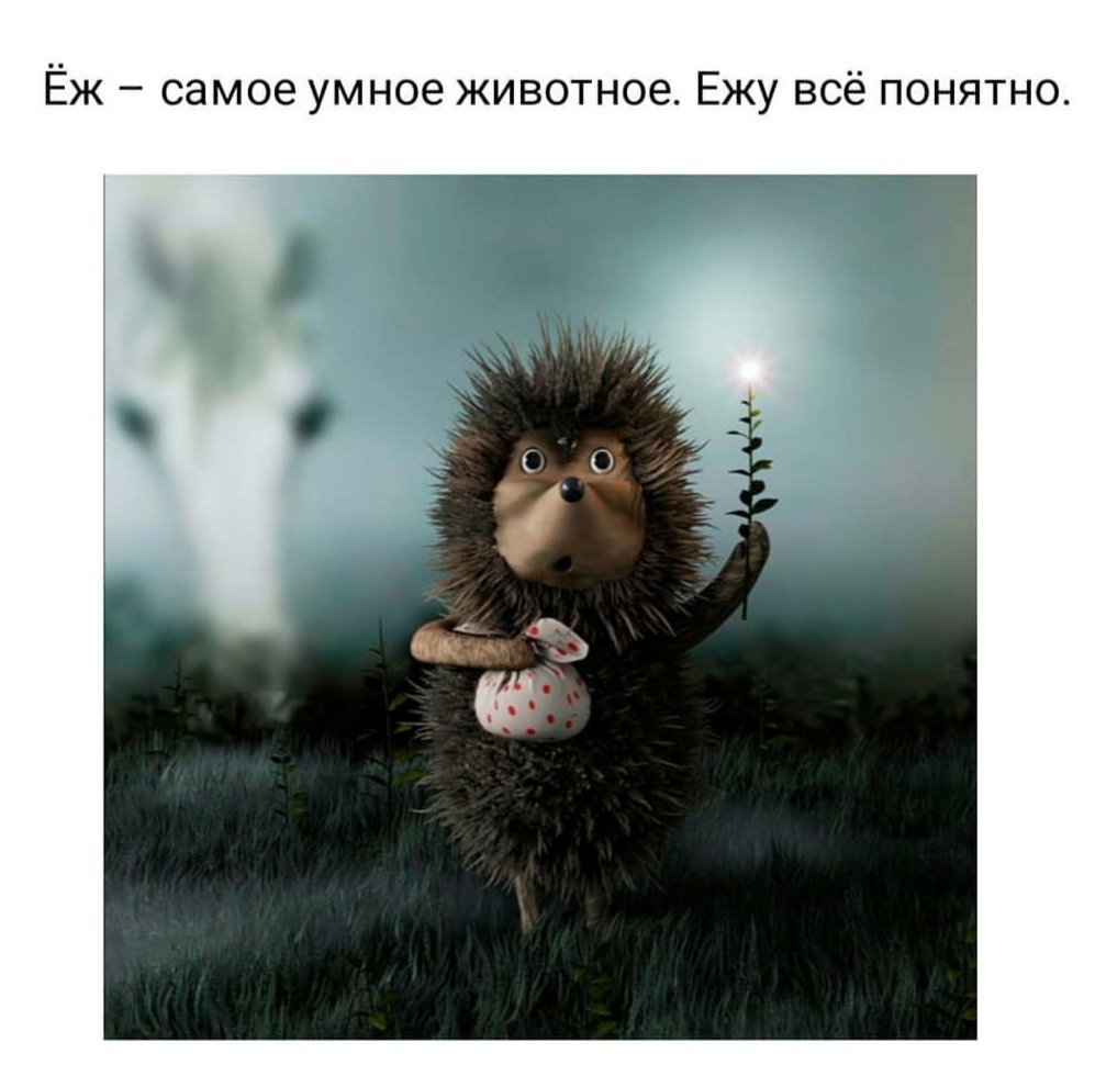 Только в русском языке можно составить предложение из 5 букв подряд