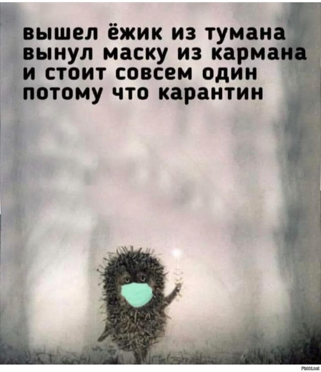 Вышел Ёжик из тумана вынул маску