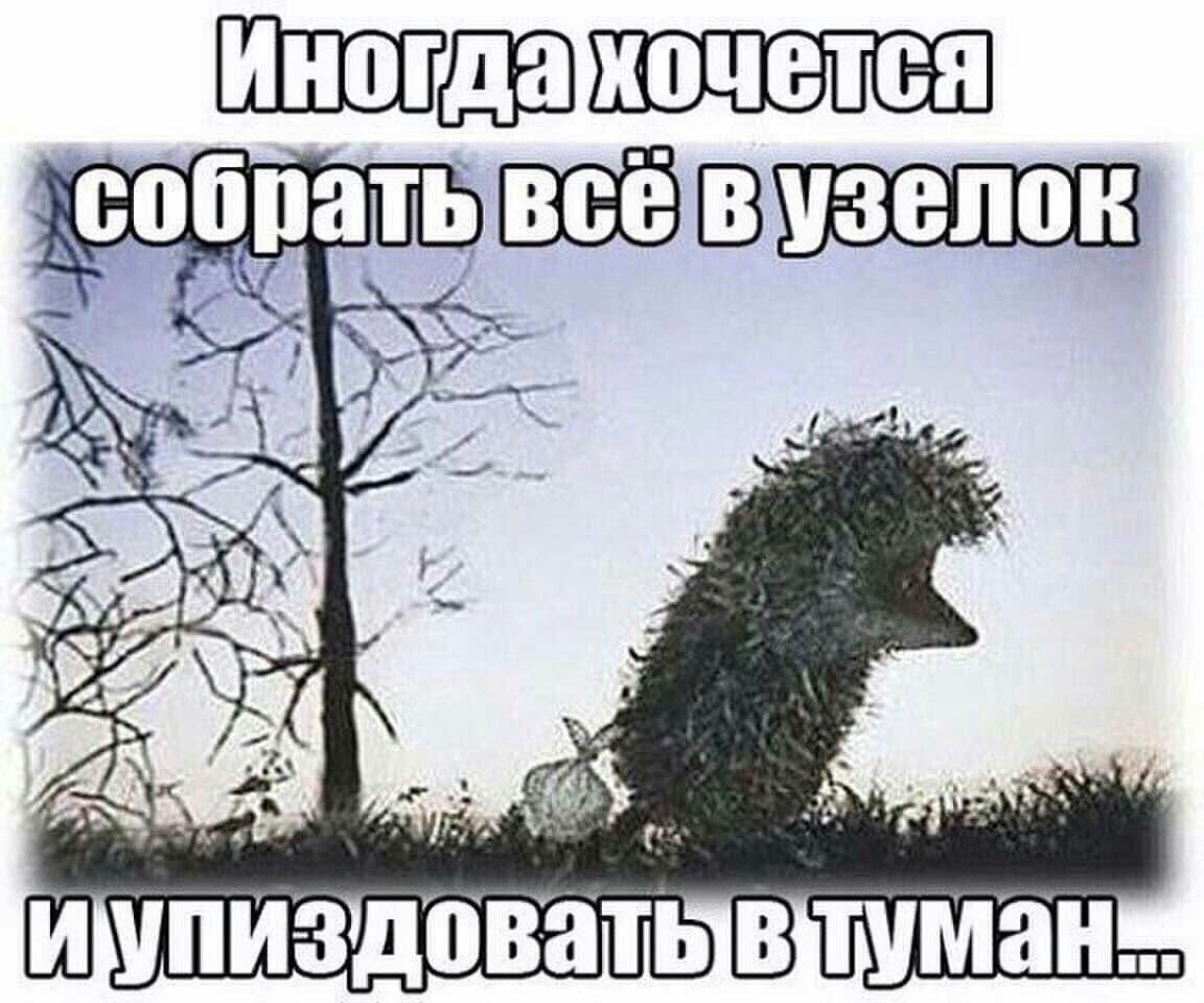 Хочется собрать все в узелок