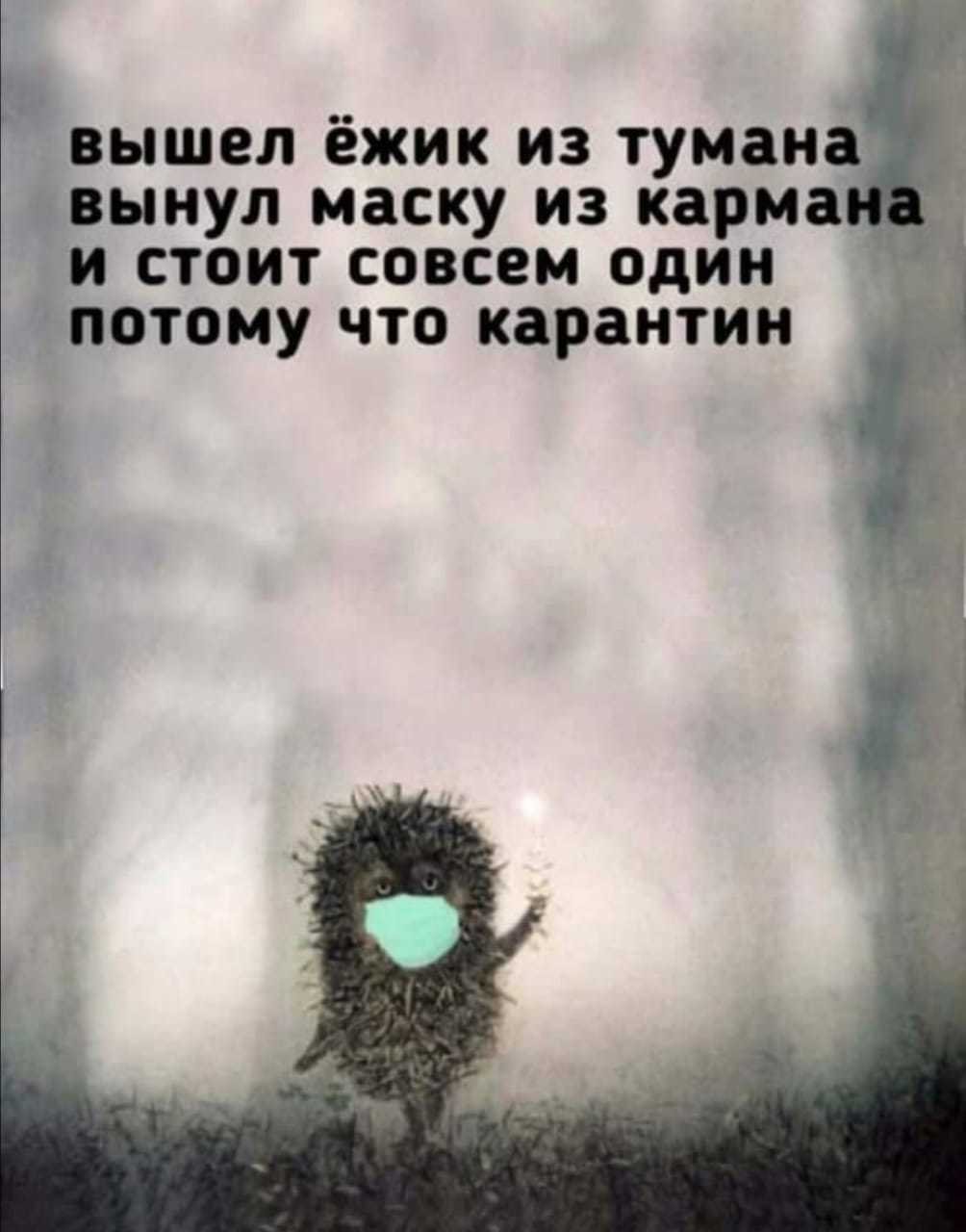Ежик в тумане юмор
