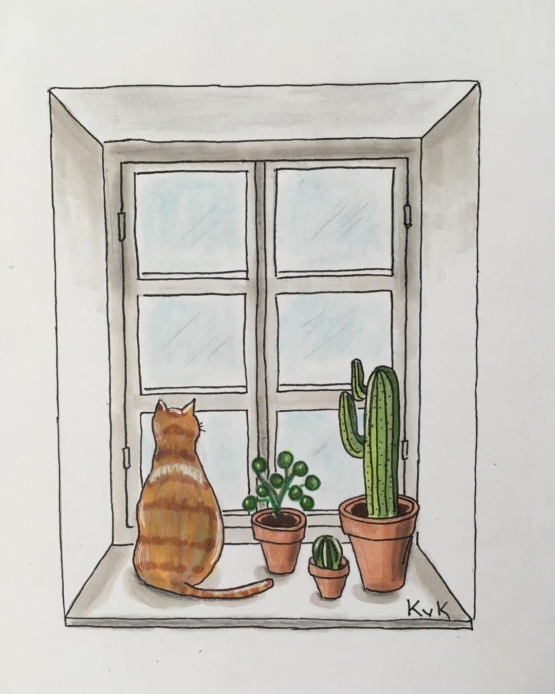 Нарисовать окно