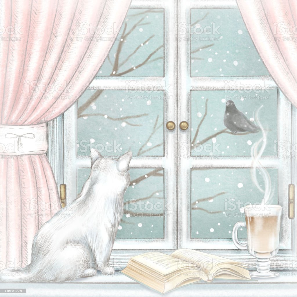 Кот на подоконнике с книжкой