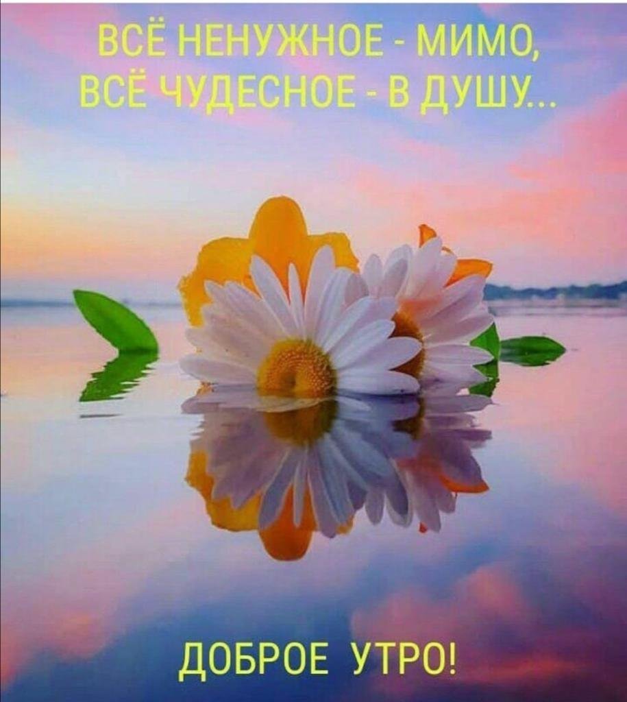 С добрым утром