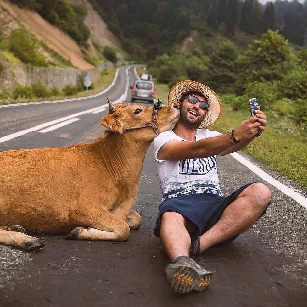 Крутые но смешные фотографии