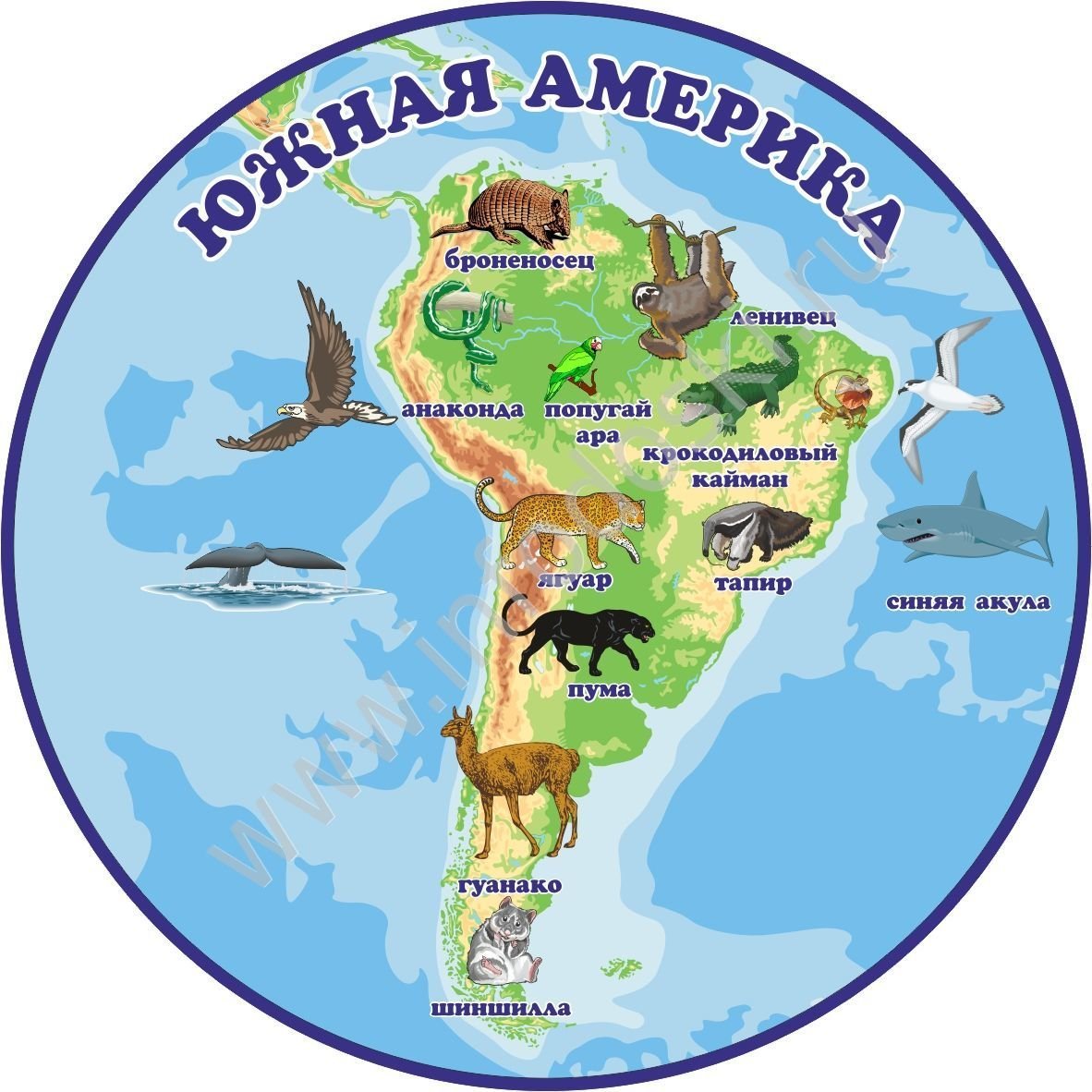 Южная Америка материк