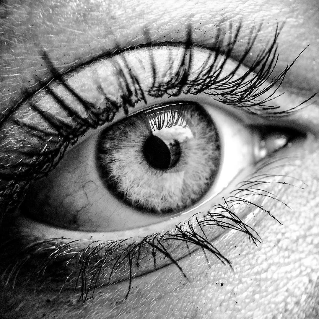 Красивый глаз черно белый