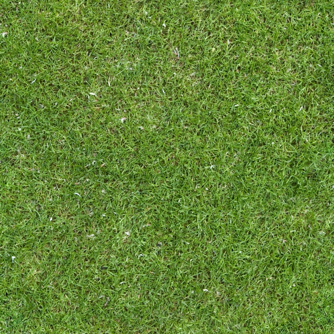 3ds Max газон hq grass