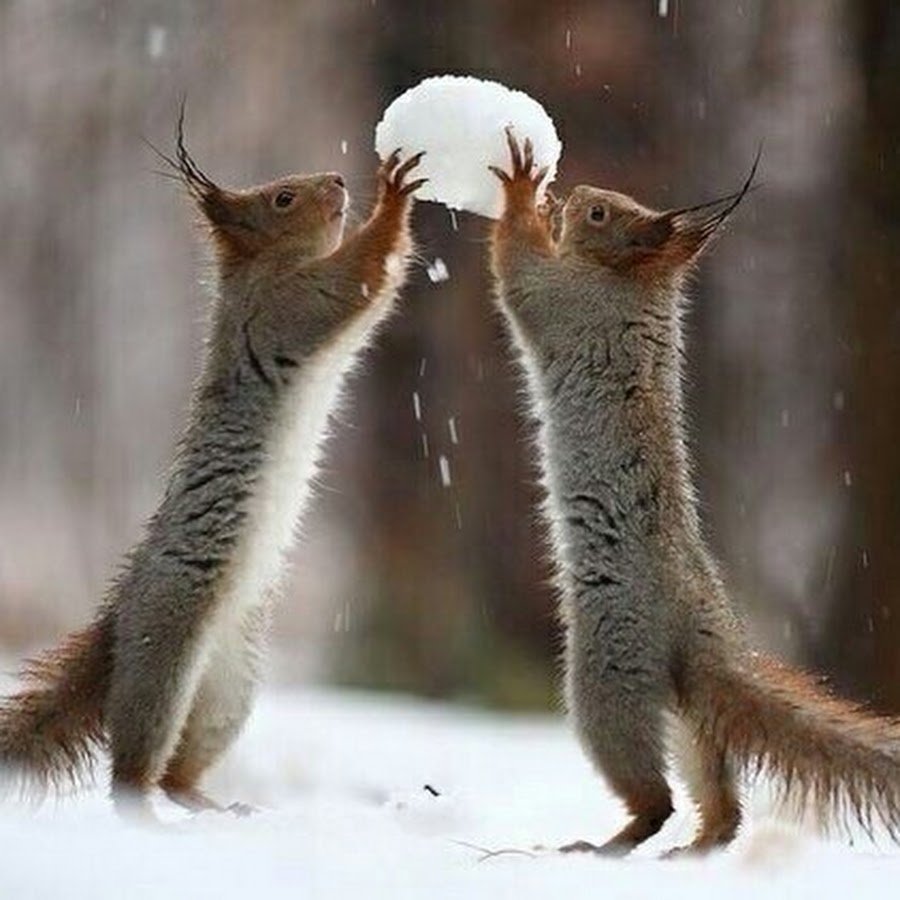 Вадим Трунов белки