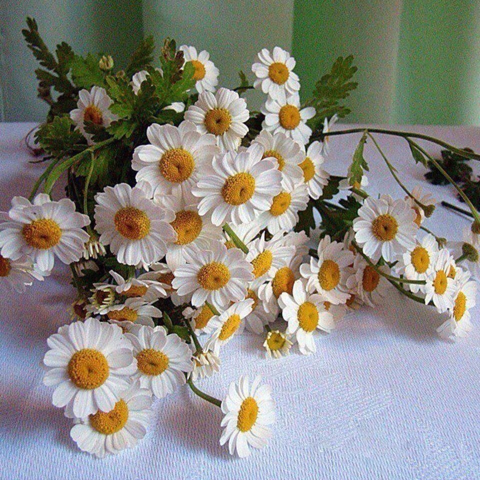 Открытки с добрым днём летние