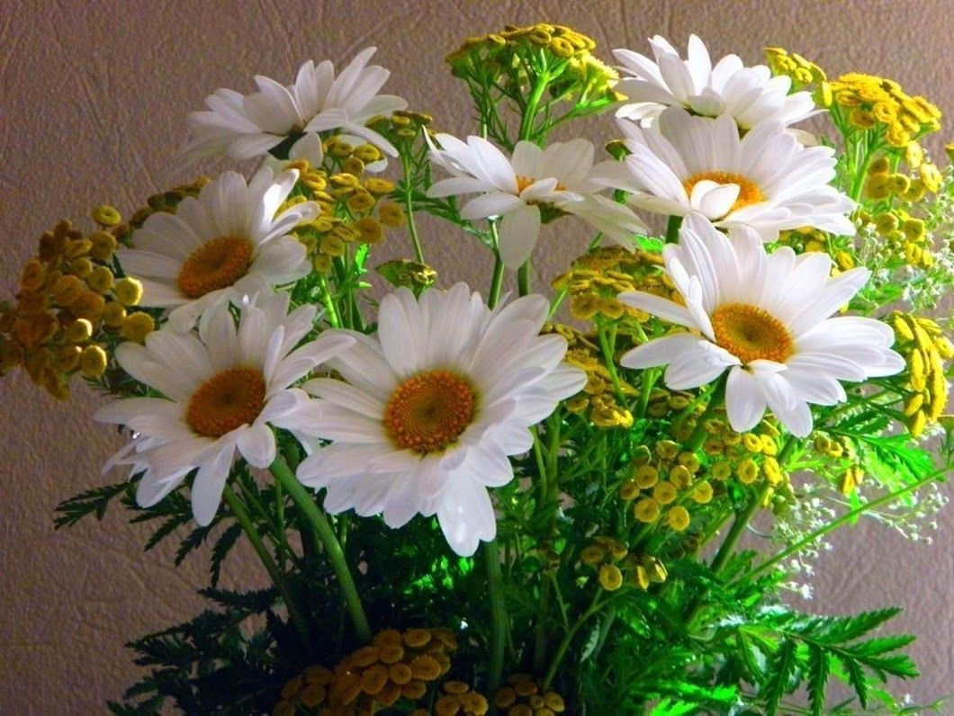 Открытка с днём рождения