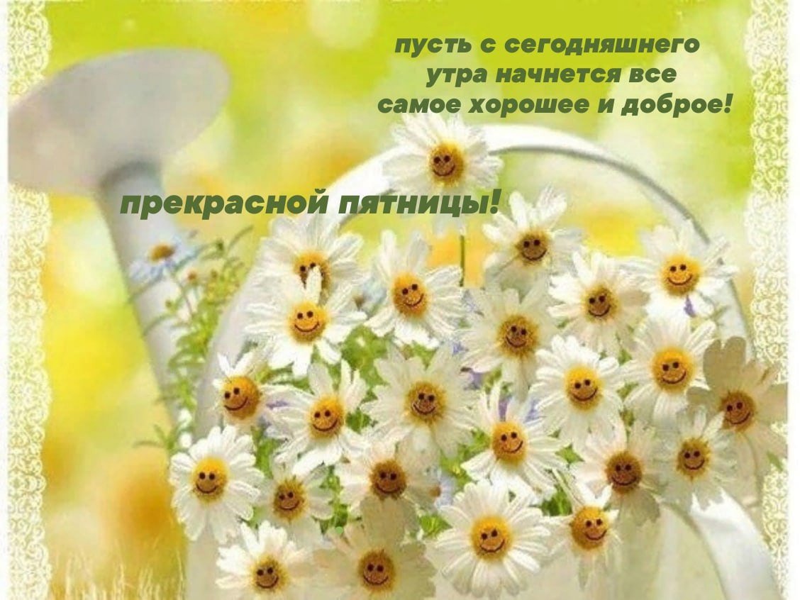 Ромашки с пожеланиями картинки