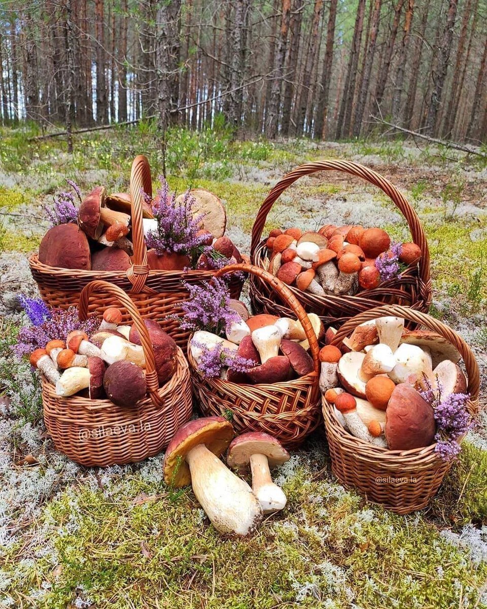 Корзиночка Грибное лукошко