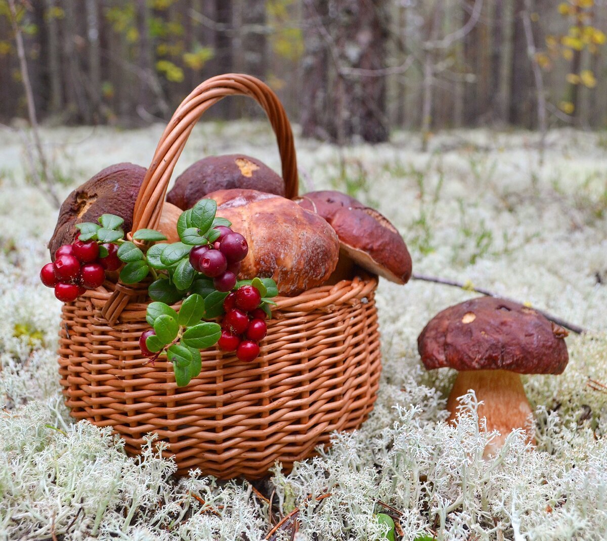 Осенние композиции с грибами