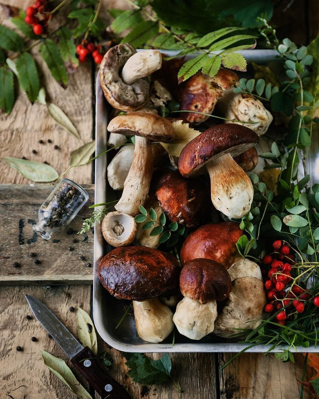 Люди собирают грибы