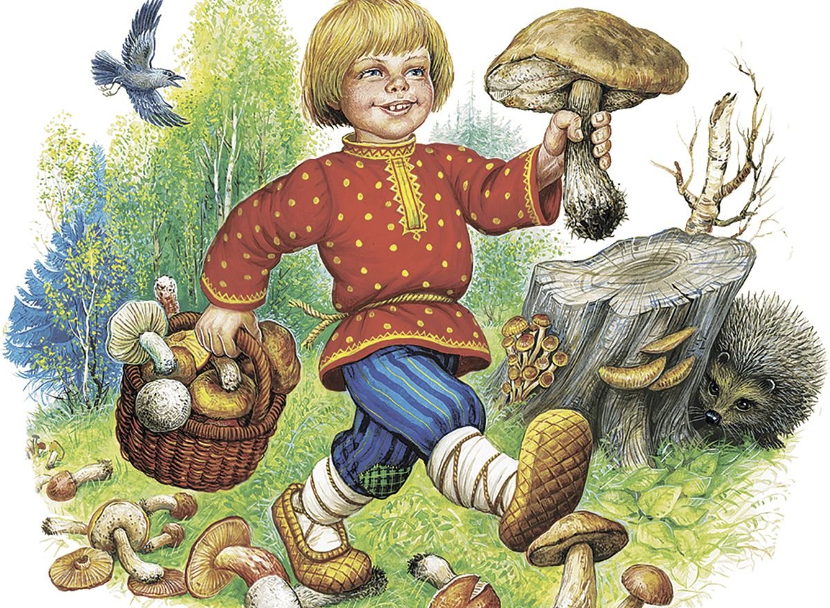 Грибное утро