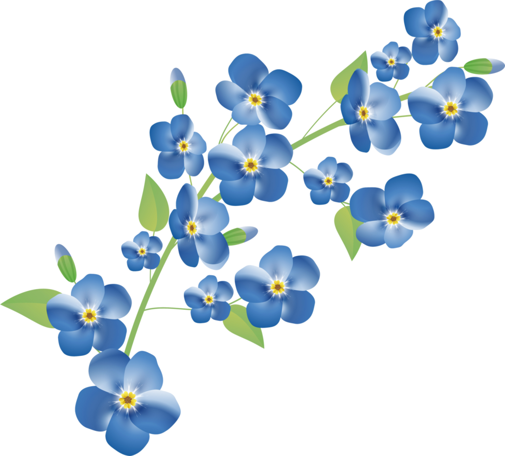 Веточка незабудки