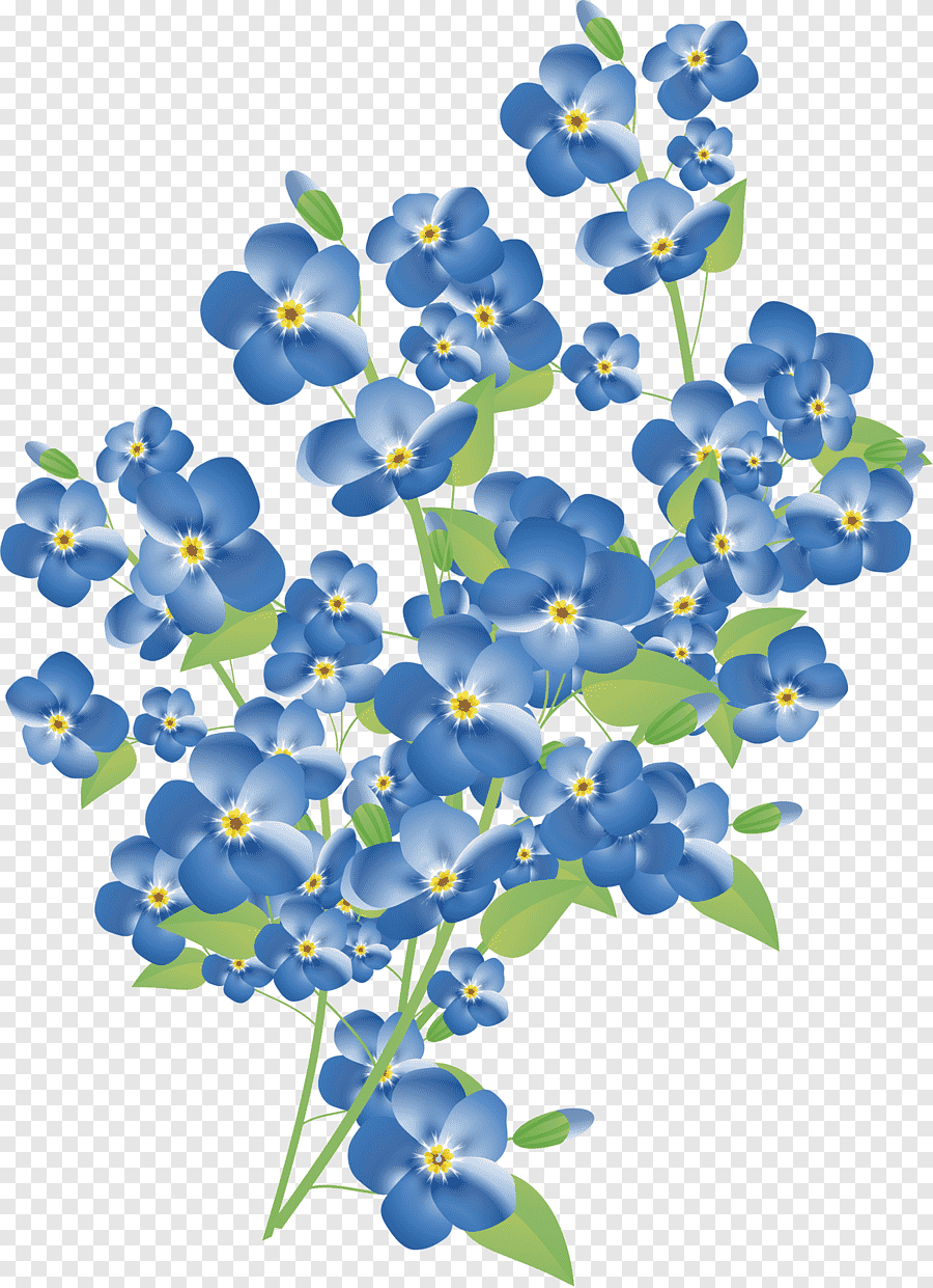 Цветы незабудки на прозрачном фоне